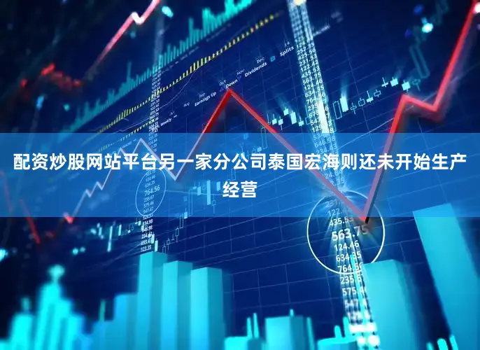 配资炒股网站平台另一家分公司泰国宏海则还未开始生产经营