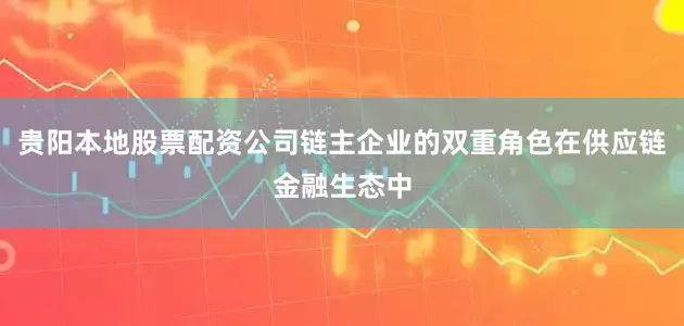 贵阳本地股票配资公司链主企业的双重角色在供应链金融生态中