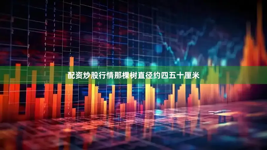 配资炒股行情那棵树直径约四五十厘米