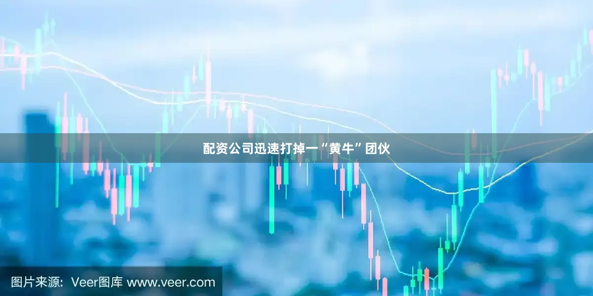 配资公司迅速打掉一“黄牛”团伙