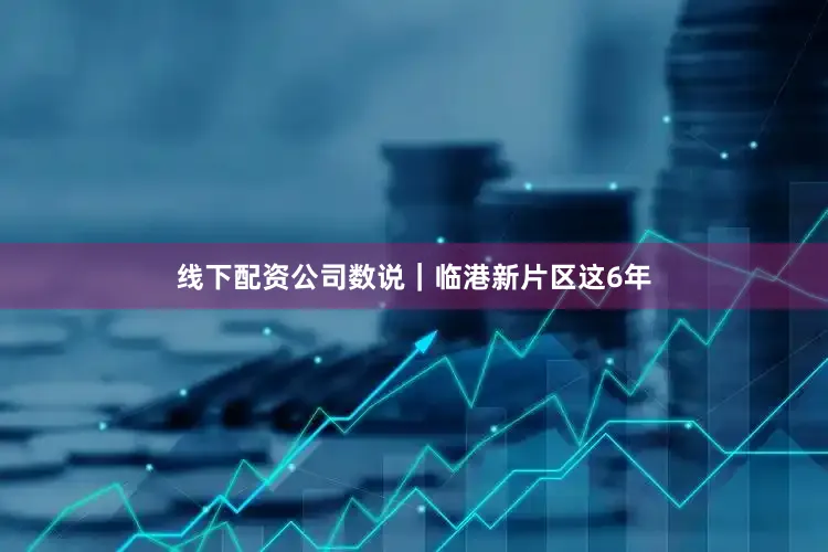 线下配资公司数说｜临港新片区这6年