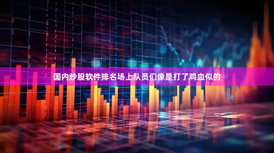 国内炒股软件排名场上队员们像是打了鸡血似的