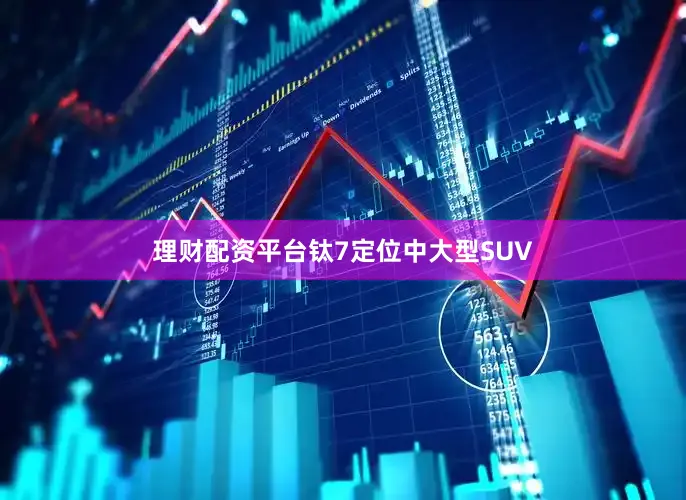 理财配资平台钛7定位中大型SUV