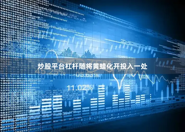 炒股平台杠杆随将黄蜡化开投入一处